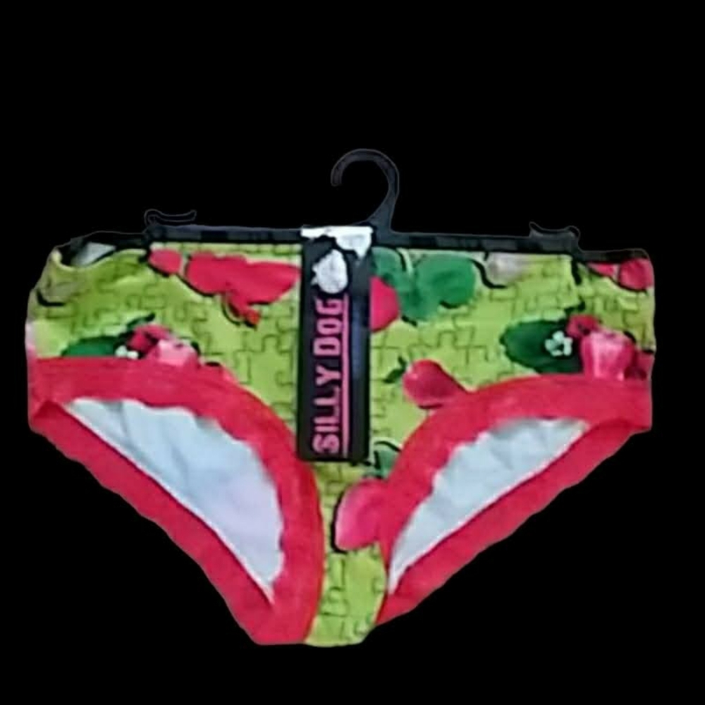 NWT Strawberries Bra & Panty Set